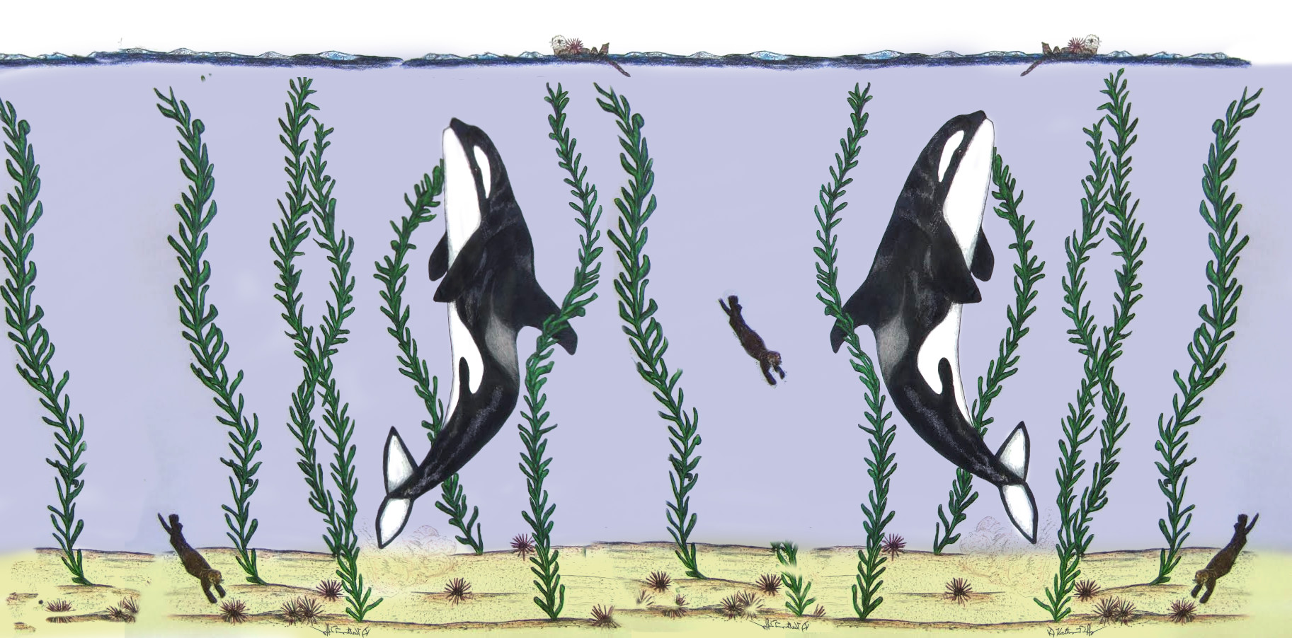 Trophic Cascade Untamed Science